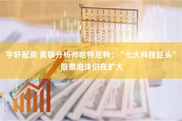 宇轩配资 美银分析师哈特尼特：“七大科技巨头” 股票泡沫仍在扩大