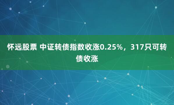 怀远股票 中证转债指数收涨0.25%，317只可转债收涨